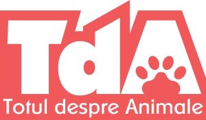 Totul despre animale